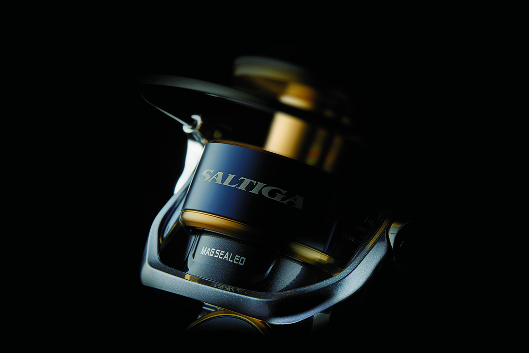 Saltiga Spin Roll 2020